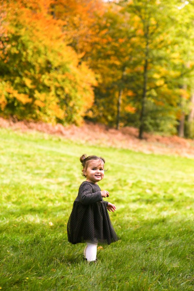 Little girl in Autumn in Golden Valley Ashridge Estate by Tanya Aldcroft Photography