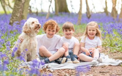 Bluebell Mini Sessions 2022